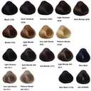 EVER EGO PERMANENT HAIR COLOR CREAM 10/1 PLATINUM BLONDE ASH 3.38 OZ