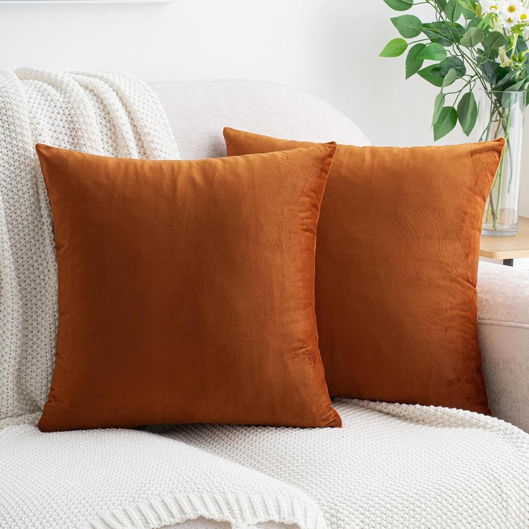 HWY 50 Burnt Orange Velvet Throw Pillow Covers 20x20 Inch, Pack of 2 Soft Cozy Solid Decorative Luxury Fall Cushion Cases for Couch Sofa Bed Living Room Bedroom