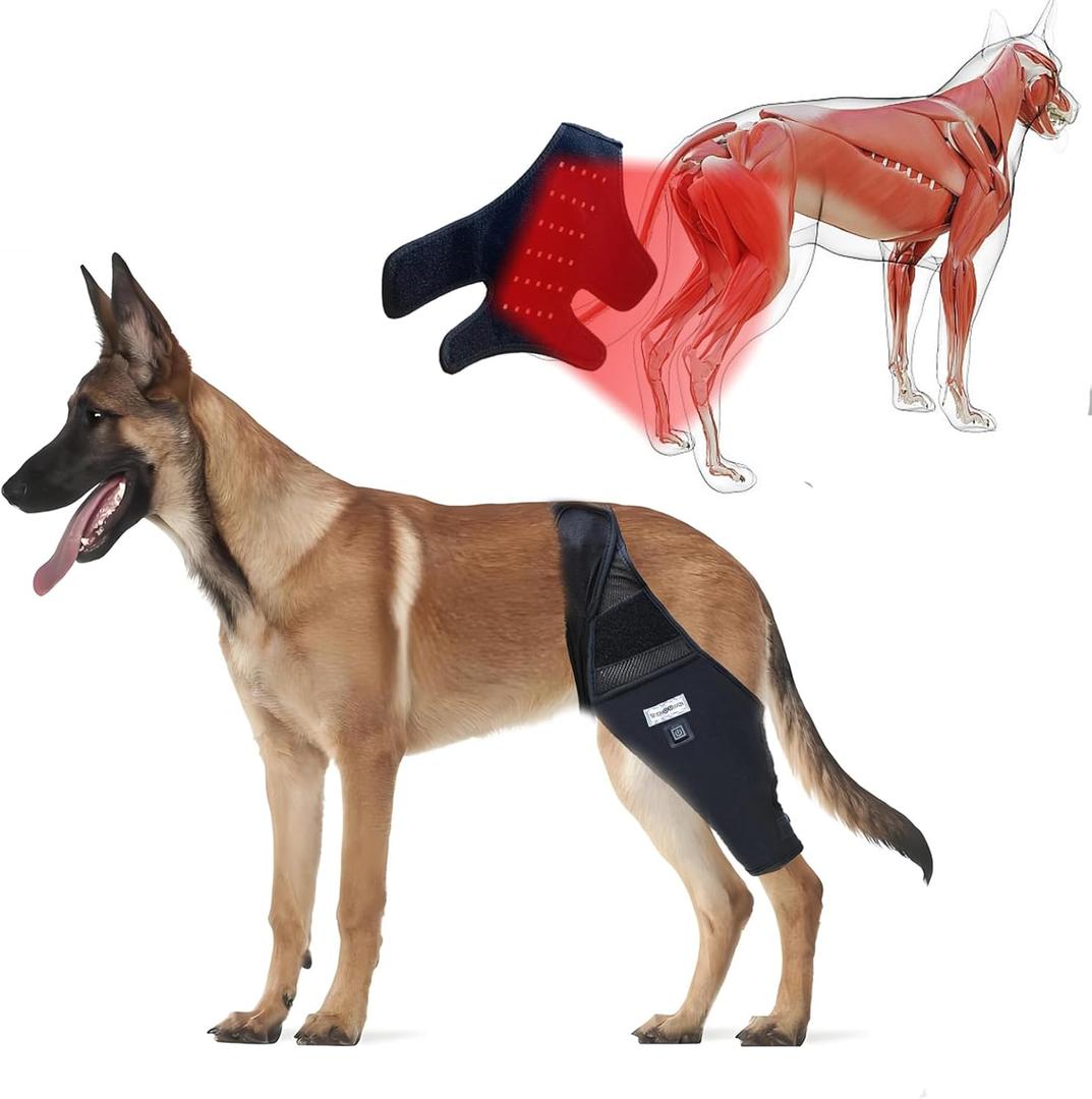 Dog Knee Brace for Torn Acl Hind Leg Red Light Therapy for Dogs Professional Edition Dog Knee Brace Accelerated Wound Healing Suitable for Mini Dogs (XL)