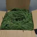 Prelit & Timer - 6 Ft by 12 Inch Christmas Garland with Lights, Real Touch Norfolk Pine Garlands Cedar Garland Artificial Realistic Soft Thickness 120 Pine Cypress Tips for Mantle Table Stairs Railing