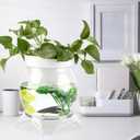 3 Gallon PET Aquaponic Betta Fish Tank Aquaponic with Base and Top, Large Bowl Shatterproof Aquarium Fish Tank with Clear Clarity for Terrarium, Flower Vase Centerpiece Present for Fish Lovers