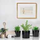 Hopewood Artificial Succulents Faux Potted Plant Decor, Small Fake Plants in Black Pot, Realistic and Lifelike for Book Shelf, Desk Decor, Home Office, Kitchen, or Bathroom Decor - Pack of 3