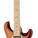PRS SE Swamp Ash Special Electric Guitar, Vintage Sunburst with Gigbag