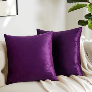 GIGIZAZA Purple Decorative Velvet Decorative 20x20 Throw Pillow Covers for Sofa Bed 2 Pack Soft Cushion Cover