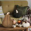 3 Pcs Fall Thanksgiving Pumpkin Pillows Sherpa Plush Stuffed Pumpkin Throw Pillows Soft Autumn Cushion Neutral Cozy Thanksgiving Decor for Home Bedroom Sofa Couch Living Room(Classic Color)