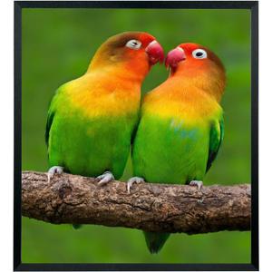 Mxtallup 21x24 Picture Frames Solid Wood Poster Frame for Wall 21x24 Photo Frames Family Black (T22B2124)