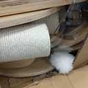 797Audio Modern Solid Wood Cat Tree Tower, 49" Tall Cat Tree with Sisal Scratching Posts and Capsule for Adult Cats, Natural Oak Wooden Cat Tower,Aesthetic Multi-Level Cat Climbing Tree for Indoor Cat