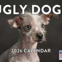 Ugly Dog Calendar 2026 Monthly Wall Calender 12 Month | American Made In The USA