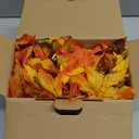 Thanksgiving Decorations Thanksgiving Garland with Lights 9FT Plug in Fall Garland Lighted 50 Orange Bulbs UL Listed Connectable Fall Lights for Indoor Outdoor Harvest Home Party Thanksgivings Decor (Pack of 1)