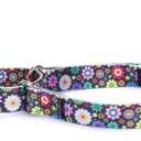 Heavy Duty Nylon Dog Collar, Adjustable Martingale Dog Collar for Walking Training Boy and Girl Dogs Medium Large Dogs (XL:53-62CM, Colourful Little Flowers)