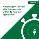 Advantage Topical Cat Flea Treatment and Prevention for Large Cats Over 9 lbs. | Apply Flea Drops Monthly | 2 Treatments