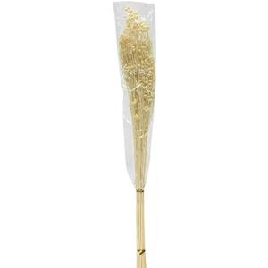 26" L Dried Sesame Bunch