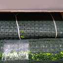 ODTORY Artificial Boxwood Roll Panel 80X120 in (67 sqft) Greenery Backdrop