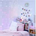 Wes and Arrow Pink and Ombre Cascading Curtain Lights