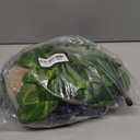 4 PCS Crested Gecko Coconut Hide Natural Lizard Coco Hut Reptile Hanging Nest Flexible Vine Habitat Decoration Bearded Dragon Terrarium Accessories for Tortoise Chameleon Snake Spider