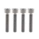 Titanium Bolt M5 M6x10 12 15 20 25 30 35mm Torx Dished Screws for Locomotive Motorcycle Shell Modification Repair Pack of 3  (Black, M6x10mm)