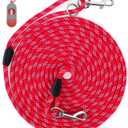 Long Dog Leash for Training 10FT/16FT/20FT/30FT/50FT/100FT, Reflective Tie Out, Heavy Duty Dog Lead for Large, Medium & Small Dogs - Outside Walking, Playing, Camping, Yard (Red)