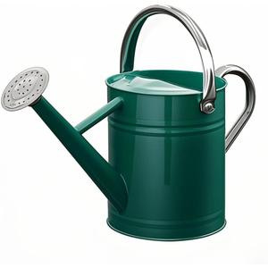 SunnyTong Metal Watering Can for Outdoor and Indoor Plants, Watering Can Decor, 1 Gallon (1 Gallon Green2)