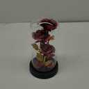 Mothers Day Glass Rose Gifts for Mom Women, Rose Flower Birthday Gifts for Women Mom Wife Girlfriend, Light Up Rose in A Glass Dome, Rose Gifts for Valentines, Mothers Day, Womens Day (Red)