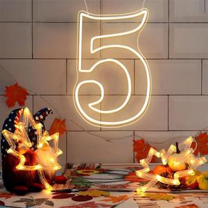 RumonZS Number 5 Light Up LED Neon Sign Backdrop 15.9" Birthday Party Decor Warm White Number One Light Up Sign USB Powered Big Number Sign Light for Birthday Night Light Party Anniversary Wedding