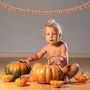 2 x Sweet Little Pumpkin Banner, Fall Theme Little Pumpkin Bunting Sign for Baby Shower Kids' Birthday Thanksgiving Party Decorations Supplies, Rose Gold Glitter