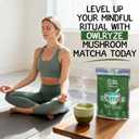 OwlRyze Mushroom Matcha Instant Zen Focus - Ceremonial Grade Matcha Power with 6 Functional Mushrooms, Lion's Mane, Cordyceps & L-Theanine for Calm Focus Energy, Immune Support - 100% Vegan, 30 Servings