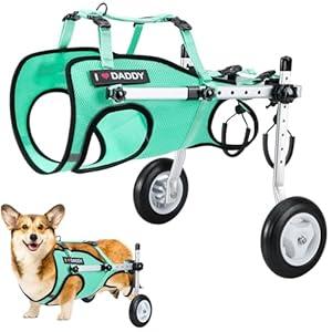 Nasjac Dog Wheelchair for Back Legs  Lightweight Portable Wheelchair with Reflective Stripes, Adjustable Pet Wheelchair Cart for Senior, Arthritis, Paralyzed, Injured, or Disabled Dogs (Green, S)