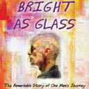 Shadows Bright as Glass: The Remarkable Story of One Man's Journey from Brain Trauma to Artistic Triumph