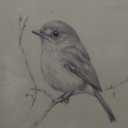 Gold Framed Bird Canvas Wall Art 12"/16"