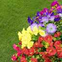 CLEANGOR 14 Pcs Artificial Petunias for Outdoors, UV Resistant Artificial Outdoor Plants, Faux Petunias for Outdoor Planters, for Spring Summer Garden, Front Door, Window Box, Home Decor (7 Color)