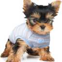 Striped Teacup Pet Dog T-Shirts, 100% Cotton Tank Vest for Small Dogs and Cats, Sleeveless Puppy Clothes for Chihuahua Yorkie Grey Green, 2X-Small