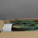 Artificial Bird of Paradise Plant 5.2Ft Fake Tropical Palm Tree with 10Trunks Faux Banana Leaf Trees in Pot for Home Indoor Outdoor Office Modern Decor Housewarming Gift2Pcs (2pack)