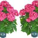 QIANYUN Artificial Hydrangea Tree 29" Tall (Set of 2), Faux Pink Hydrangea Plant in Pot, Realistic Artificial Plant for Indoor Outdoor Porch, Patio, Balcony Decor