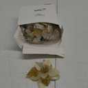 WILLBOND 36 Pieces Christmas Poinsettia Glitter Faux Flowers Christmas Artificial Flowers Tree Ornaments Topper Xmas Decorations(Gold)