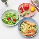 4pcs 9 Inch Lightweight Plastic Plates Unbreakable Reusable Dinner Plates Set, Camping Plate,Salad Plates, Dessert Plates for Salad Pasta Dishwasher & Microwave Safe (B)
