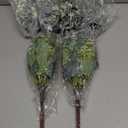 40 Pcs Artificial Greenery Eucalyptus Stem Silver Dollar Leaves Baby Eucalyptus Leaves Suitable for Family Wedding Vase Centerpieces Bouquet Flower Arrangement