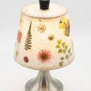 Baquler Pressed Floral Wireless Bottle Lamp Shade Flower Wine Bottle Lamps LED 3 Color Rechargeable Cute Vintage Cottage Table Light for Bars Home Office Fall Christmas Housewarming Gifts