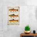Cusde Rainbow Trout Metal Tin Sign Brook Trout Wall Art Brown Trout Vintage Retro Decoration Poster Plaques Decor Funny Novelty Garage Room Home Cafe Bar Club 8x12 Inch