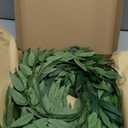 Ling's moment Italian Ruccus Greenery Stems Artificial Plants, 4Pcs 28" Tall Fake Branches Greenery, Realistic Texture Hanging Plant for Home Decor Wedding Bouquets Table Centerpieces, Room/Office