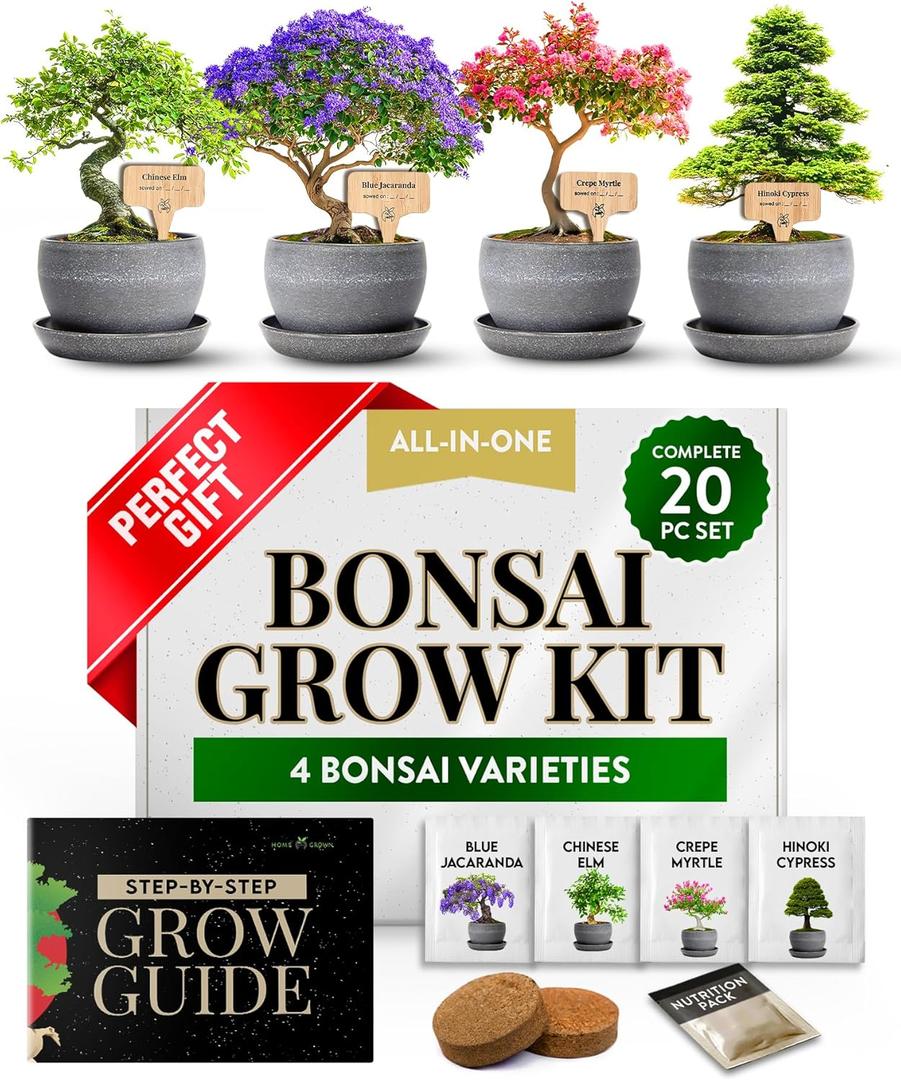 HOME GROWN Bonsai Tree Kit  Grow 4 Bonsai Types Indoors with Complete Starter Kit Including Pots Peat Pellets and Bonus Grow Guide  Unique Gardening Gift for Men Women Beginners