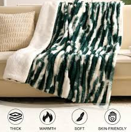 Electric Blanket Winter Warm Series Full, Super Cozy Luxury Faux Fur & Sherpa with 6 Heating Levels & 0-10 Hours Auto Off, Fast Heating & Overheat Protection, 72" x84", Green