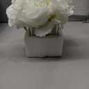 7 Large Stem Rose Artificial Flowers in Vase, Silk Floral Arrangement in Vase with Fake Water for Home Decor, Wedding Table (Cream)