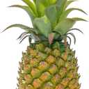 QIRMIZI Artificial Pineapple -Simulated Fruit Decoration, Lifelike Fake Fruit Model, Perfect for Home Decor, Kitchen, Party & Photography Prop Realistic & Eco-Friendly,Green Small (3.5"D x 3.5"W x 8.6"H)