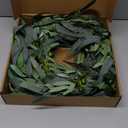 Olive Wreath for Front Door 22 inch, Greenery All Season Wreath with Olive Leaf Fruit, Home Decoration for Outdoor Living Room Indoor Wall and Outside Summer All Season Wedding