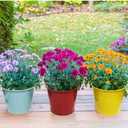 8 Colours Metal Hanging Flower Pots, 6.3" Hanging Flower Buckets on Hooks, with Drainage Hole (8 Pack, L)
