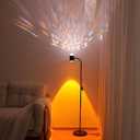 Sunset projection floor lamp, dual head sunset lamp with water ripple vertical Floor light, replaceable filter 360  rotating LED Atmosphere lights 3 color color changing living room sunset floor lamp