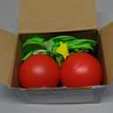 Ceenna 12 Pcs Christmas Bowling Set Inflatable Christmas Tree Bowling Set Christmas Games for Family, Include 10 Christmas Tree Pins and 2 Balls