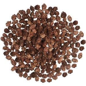 200PCS Christmas Natural Pine Cones Mini Fall Decorations Pinecones Ornaments Bulk Small Pine Cones for DIY Crafts Thanksgiving Fall Winter Christmas Wedding Decor Vase Filler Decor