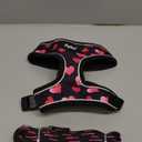 PUPTECK Soft Mesh Dog Harness and Leash Set Pet Puppy Cat Comfort Padded Vest No Pull Harnesses Valentine, Black & Pink, M (M (NECK: 14", CHEST: 17"-21"))