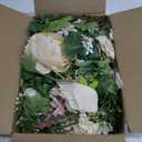 Lvydec 2 Pack Artificial Peony Flower Garland - 6ft Silk Peony Champagne Flower Garland Arch Flower Vine for Wedding Party Table Decoration (2, Champagne), PG-01